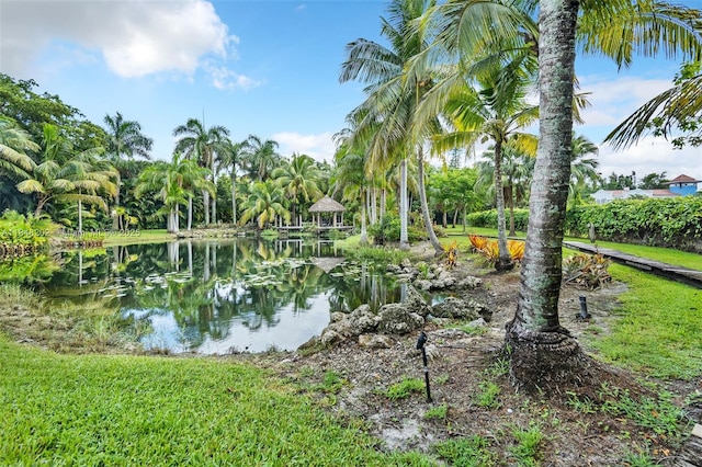 14211 Sunset Ln, Southwest Ranches, FL 33330 - photo 17