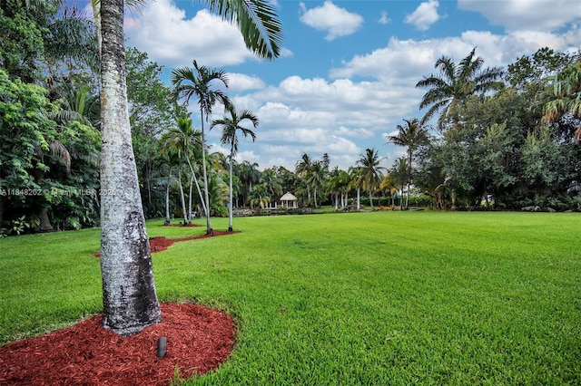 14211 Sunset Ln, Southwest Ranches, FL 33330 - photo 72
