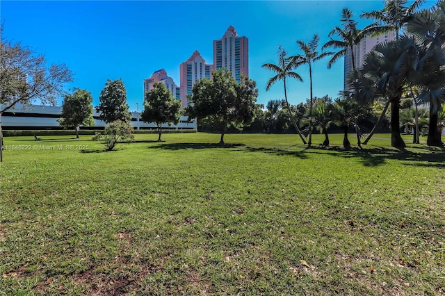 3300 NE 191st St Unit 1213, Aventura, FL 33180 - photo 40