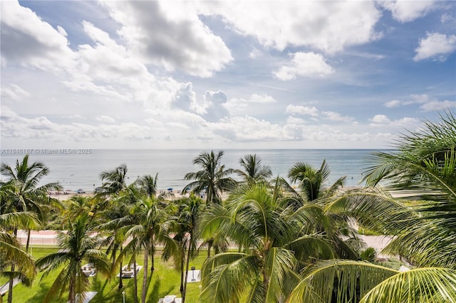 6301 Collins Ave Unit 1903, Miami Beach, FL 33141 - photo 42