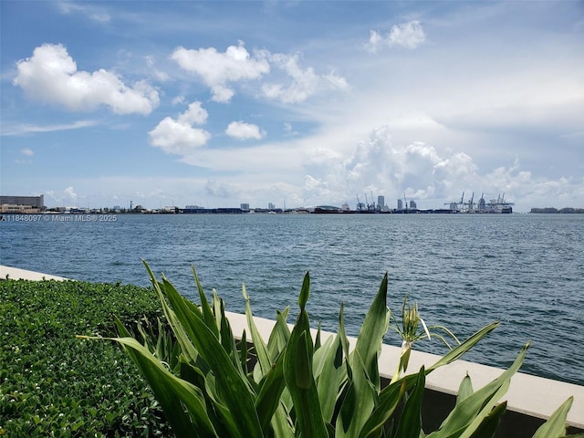 540 Brickell Key Dr Unit 1524, Miami, FL 33131 - photo 43
