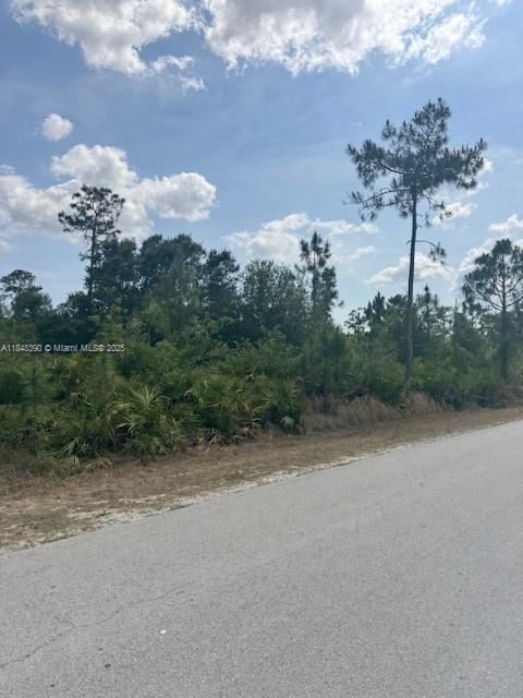 3102 E 10th St, Lehigh Acres, FL 33972 - photo 1
