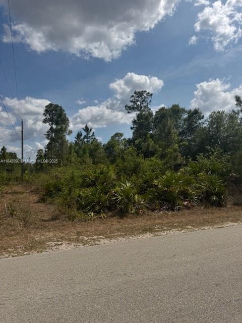 3102 E 10th St, Lehigh Acres, FL 33972 - photo 3