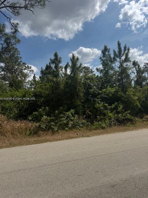 3102 E 10th St, Lehigh Acres, FL 33972 - photo 4