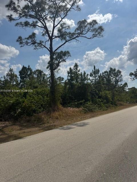 3102 E 10th St, Lehigh Acres, FL 33972 - photo 5