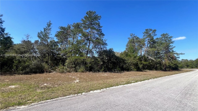 Tbd, Ocala, FL 34473 - photo 1