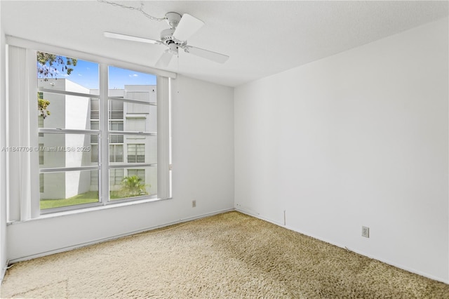 6901 Cypress Rd Unit B18, Plantation, FL 33317 - photo 15