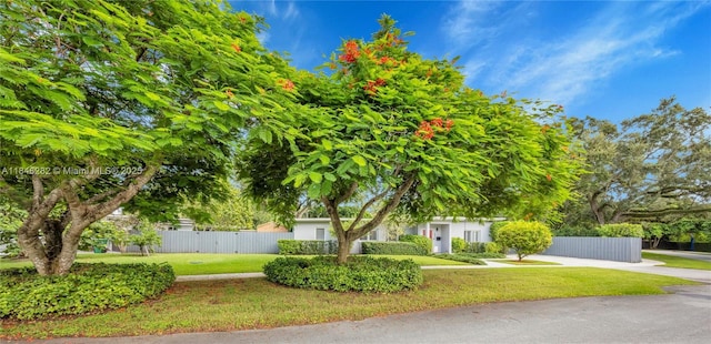 6020 SW 46th St, Miami, FL 33155 - photo 38