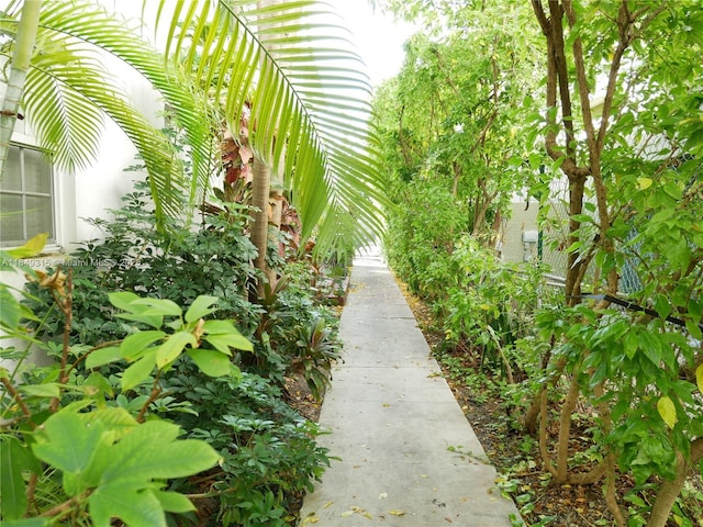 631 Euclid Ave Unit 7, Miami Beach, FL 33139 - photo 14