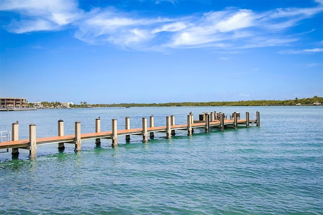 100 Intracoastal Pl Unit 102, Jupiter, FL 33469 - photo 34