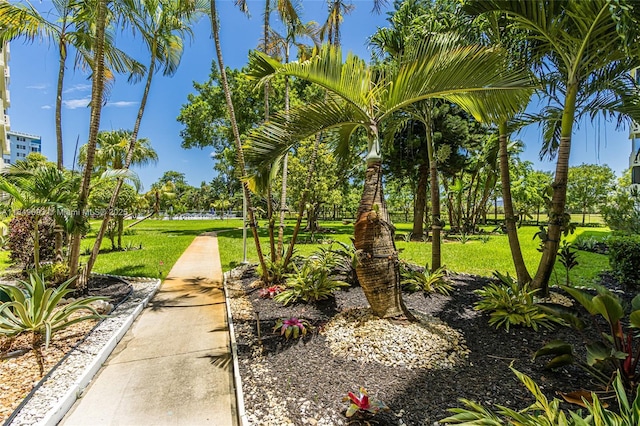 4330 Hillcrest Dr Unit 519, Hollywood, FL 33021 - photo 35