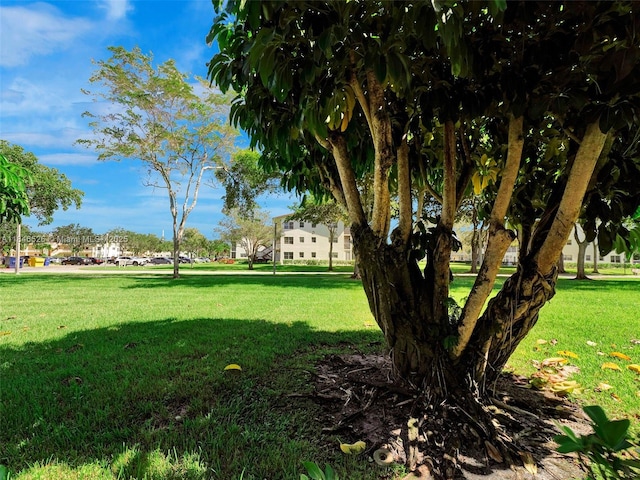 171 E Mansfield E Unit 171-E, Boca Raton, FL 33434 - photo 25