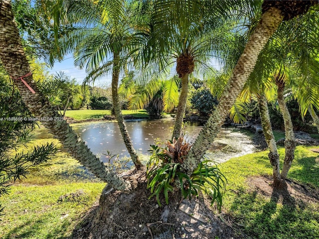 13350 Luray Rd, Southwest Ranches, FL 33330 - photo 47