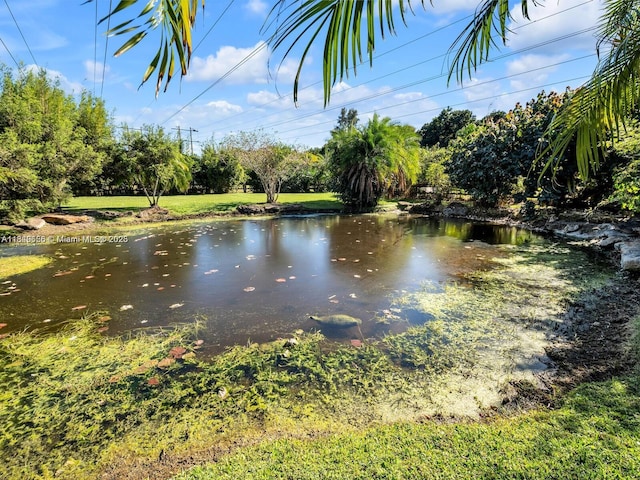 13350 Luray Rd, Southwest Ranches, FL 33330 - photo 48
