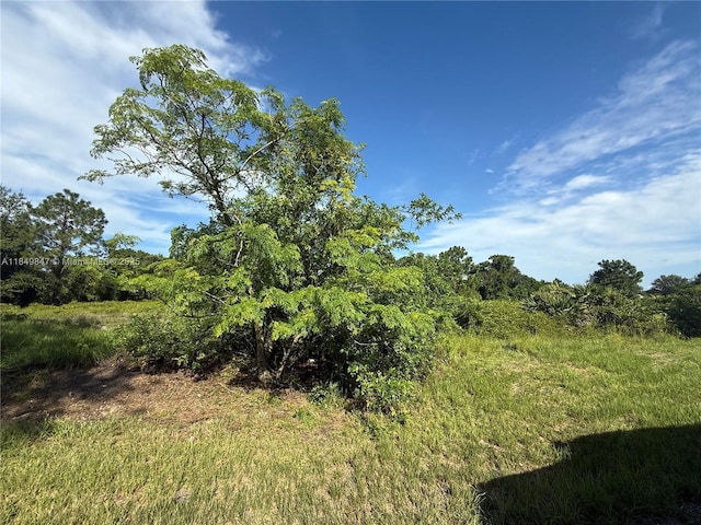 370 N Palomino St, Clewiston, FL 33440 - photo 1