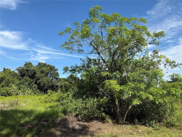 370 N Palomino St, Clewiston, FL 33440 - photo 2