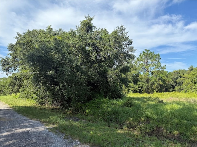 370 N Palomino St, Clewiston, FL 33440 - photo 4