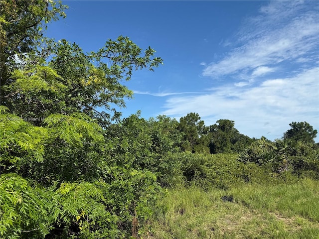 370 N Palomino St, Clewiston, FL 33440 - photo 5