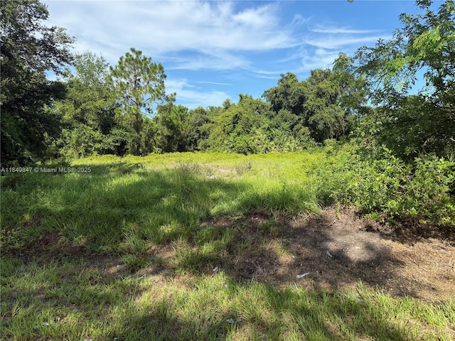 370 N Palomino St, Clewiston, FL 33440 - photo 6