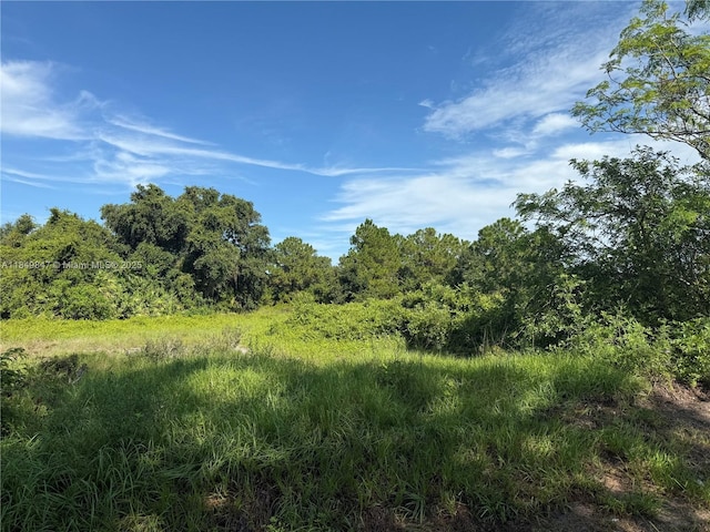 370 N Palomino St, Clewiston, FL 33440 - photo 8