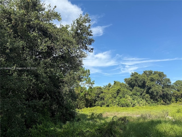370 N Palomino St, Clewiston, FL 33440 - photo 9