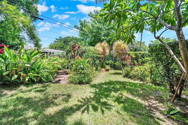 2421 NE 10th Ave, Pompano Beach, FL 33064 - photo 21