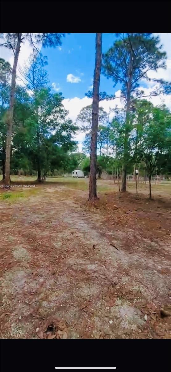 740N Willow St, Clewiston, FL 33440 - photo 3
