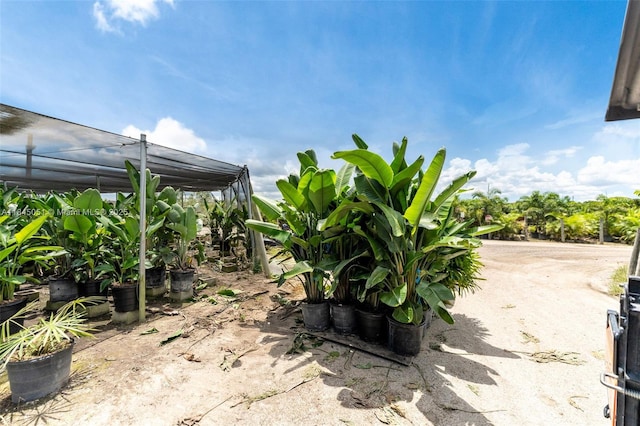 19000 SW 177th Ave, Miami, FL 33187 - photo 27