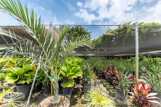 19000 SW 177th Ave, Miami, FL 33187 - photo 28