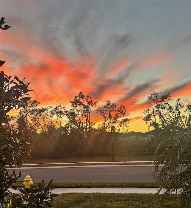 1121 E 172nd Ct, Bradenton, FL 34212 - photo 2