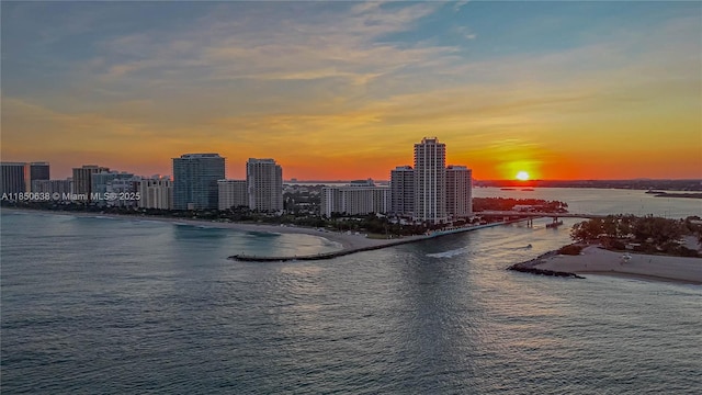 10275 Collins Ave Unit 206, Bal Harbour, FL 33154 - photo 28