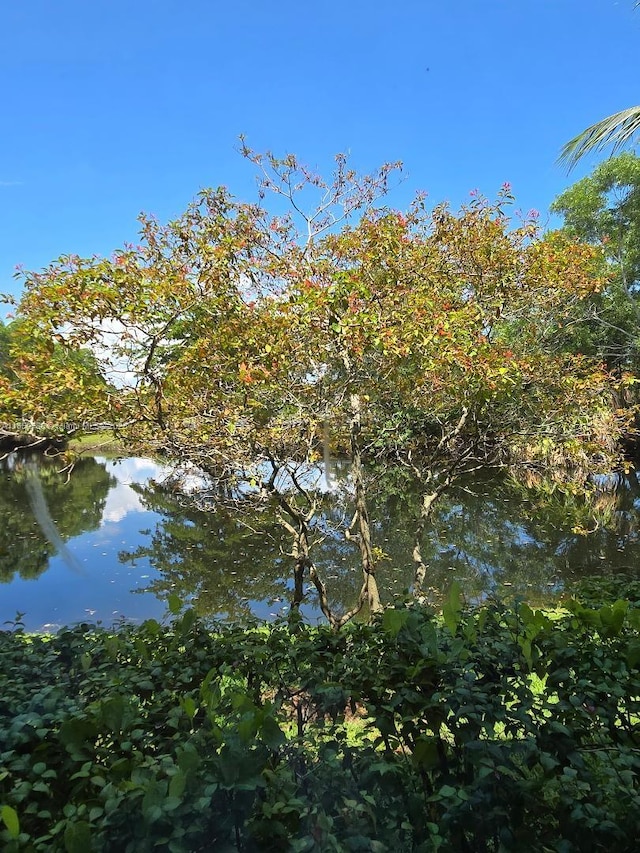 302 Lakeview Dr Unit 102, Weston, FL 33326 - photo 14