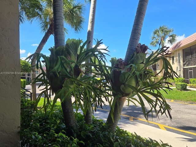 302 Lakeview Dr Unit 102, Weston, FL 33326 - photo 21