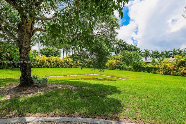 601 Ranch Rd, Weston, FL 33326 - photo 60