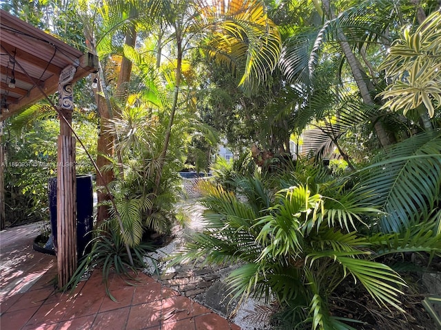 435 NE 77th St Rd, Miami, FL 33138 - photo 51