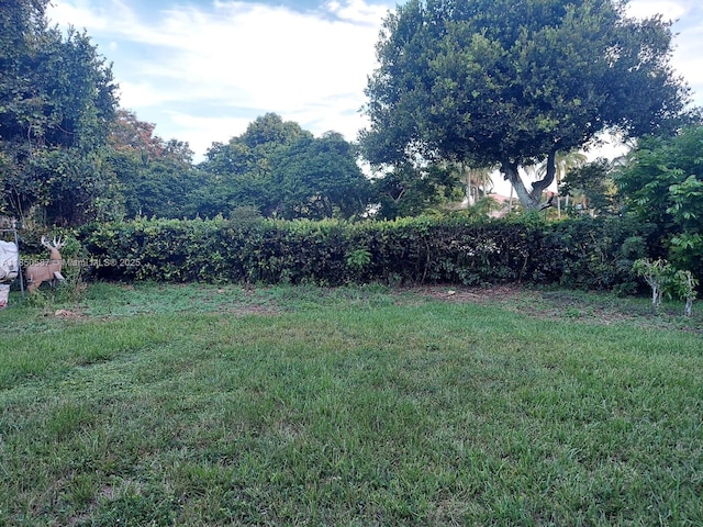 12130 NW 56th Ct, Coral Springs, FL 33076 - photo 13