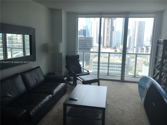 view of carpeted living room