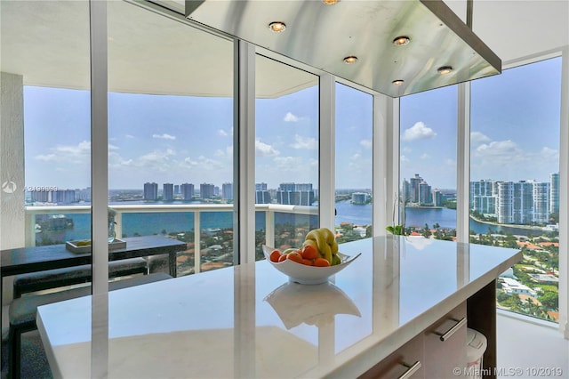 sunroom with a healthy amount of sunlight and a water view