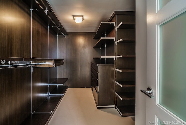 view of walk in closet