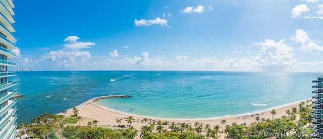 water view featuring a view of the beach