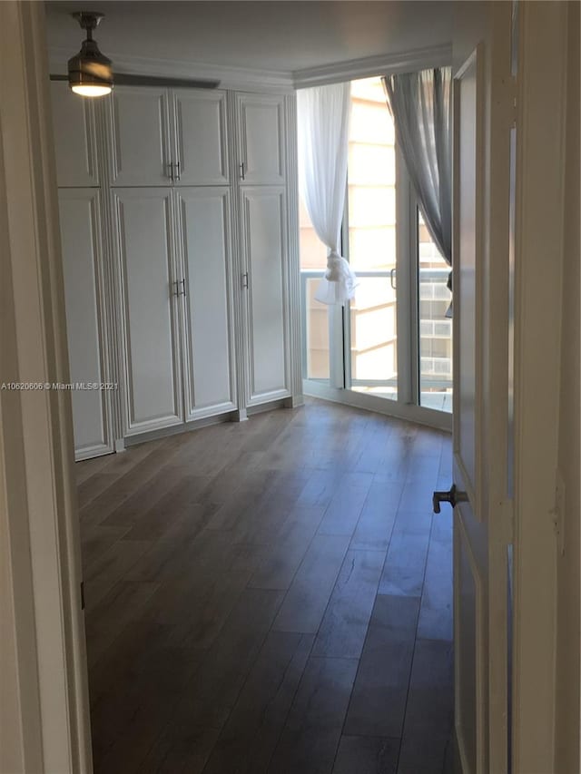 unfurnished room with ceiling fan and wood-type flooring