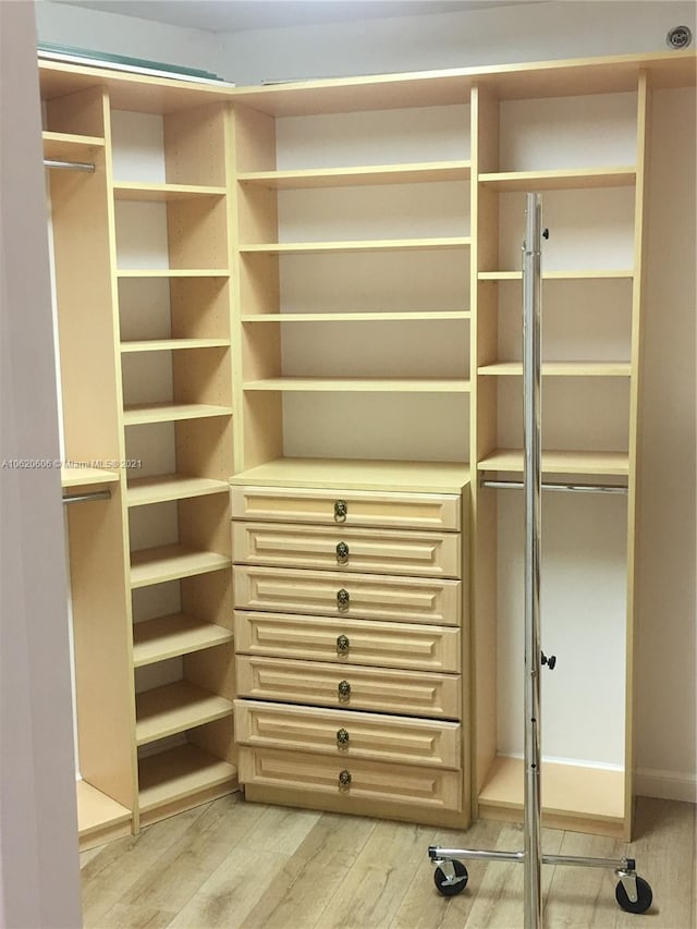 spacious closet with light hardwood / wood-style flooring