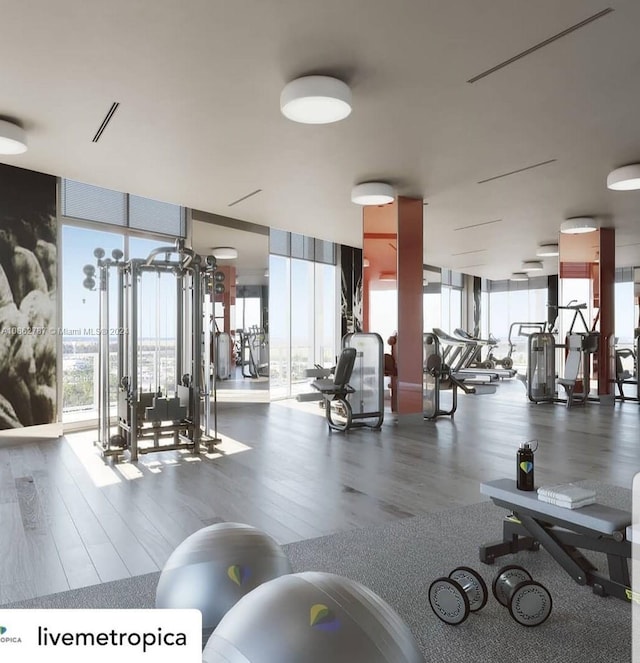 exercise room with a wall of windows and hardwood / wood-style flooring