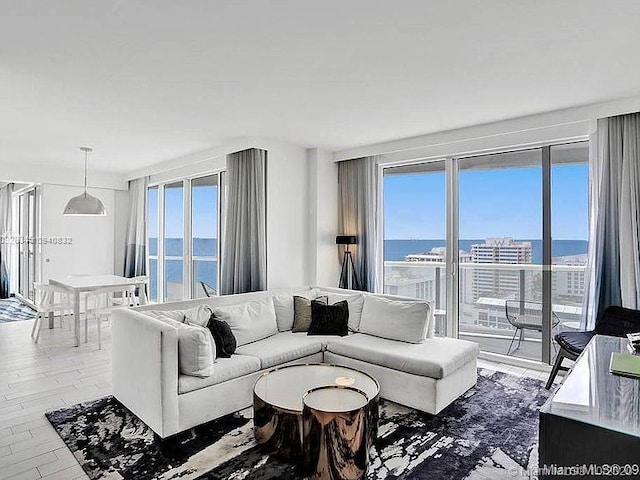 living room featuring hardwood / wood-style flooring, a water view, and plenty of natural light