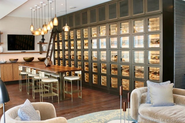 wine room featuring dark hardwood / wood-style flooring