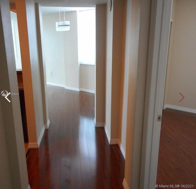 corridor featuring dark hardwood / wood-style floors