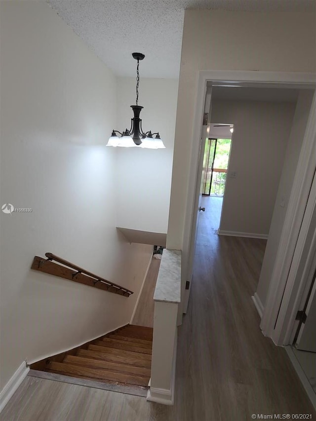 stairway with hardwood / wood-style floors and a textured ceiling