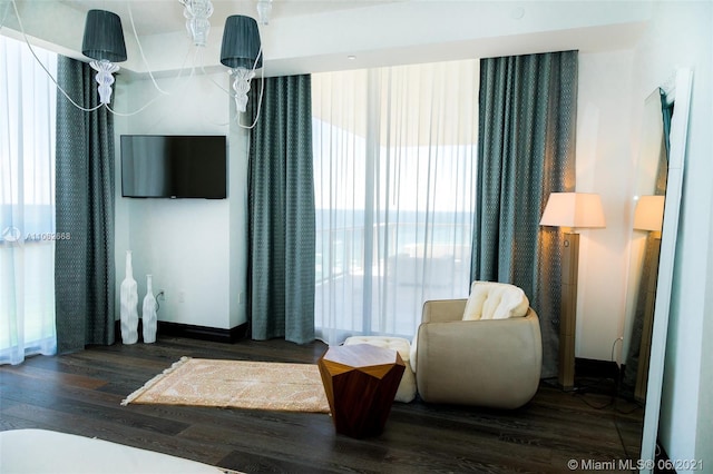 living area featuring dark hardwood / wood-style flooring