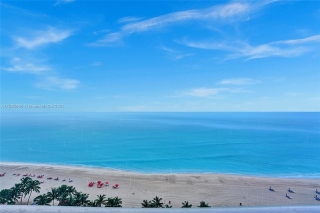 water view with a view of the beach