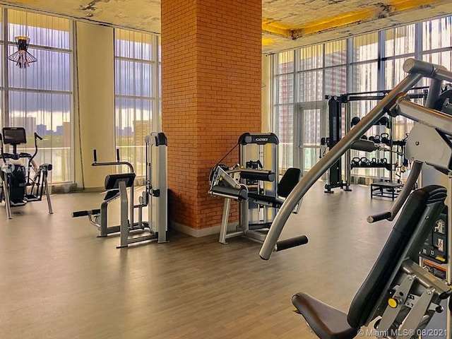 workout area featuring floor to ceiling windows, dark hardwood / wood-style floors, and a wealth of natural light